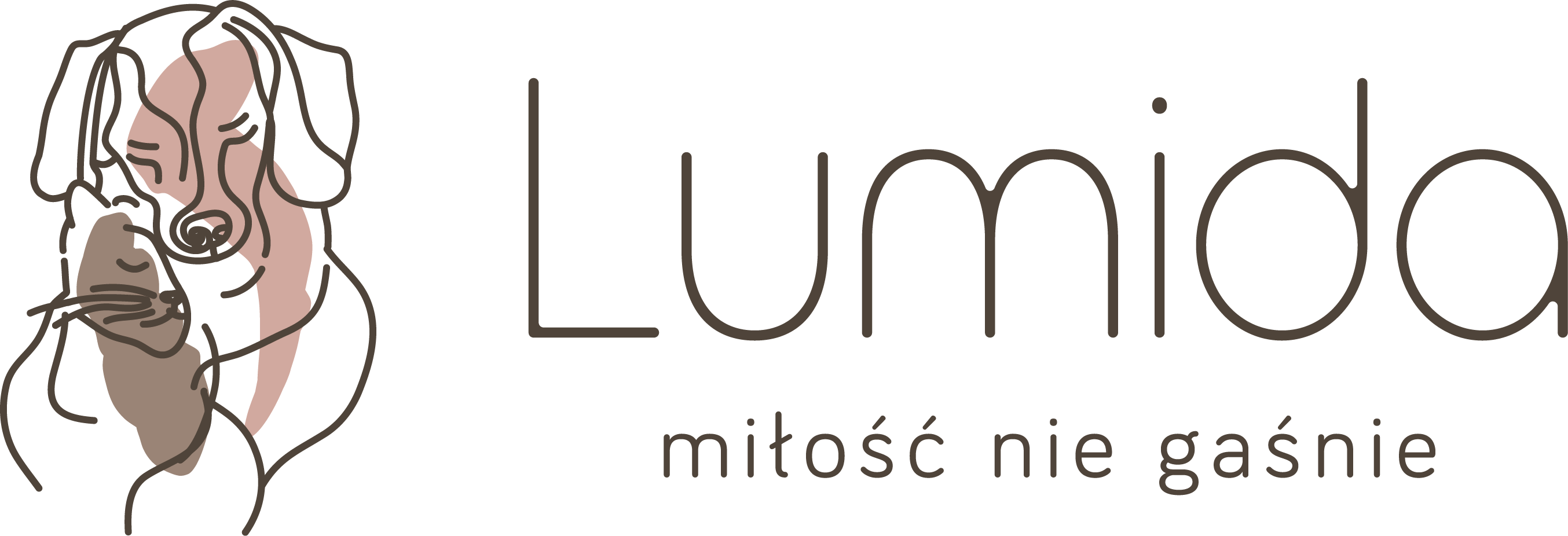 Lumida